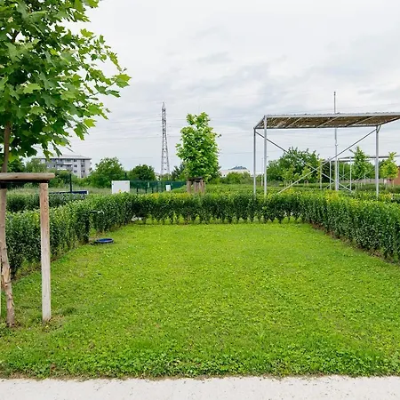 Kamp alanı Alliance