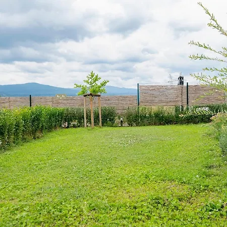 Kamp alanı Alliance