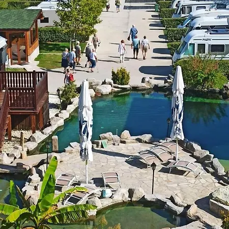 Alliance Пловдив