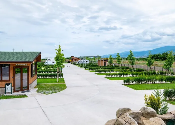 Alliance Kamp alanı 3*