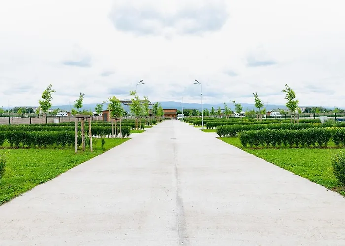 Alliance Kamp alanı Filibe