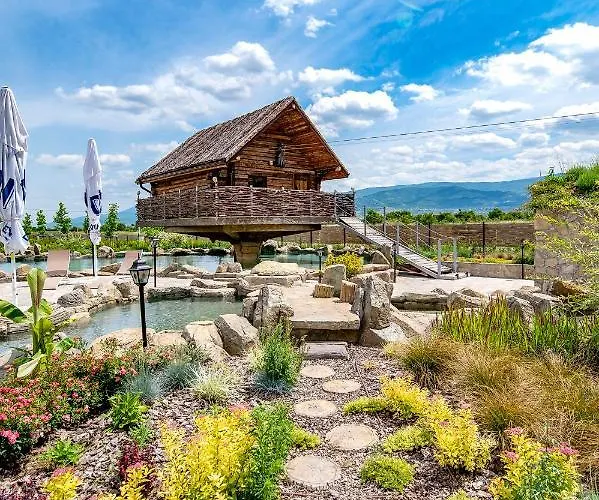 Kamp alanı Alliance Filibe