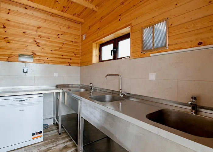 Alliance Kamp alanı