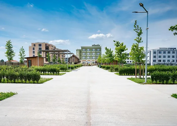 Alliance Kamp alanı