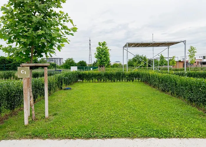 Kamp alanı Alliance