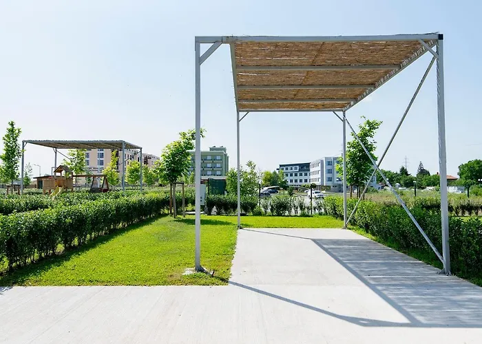 Alliance Kamp alanı