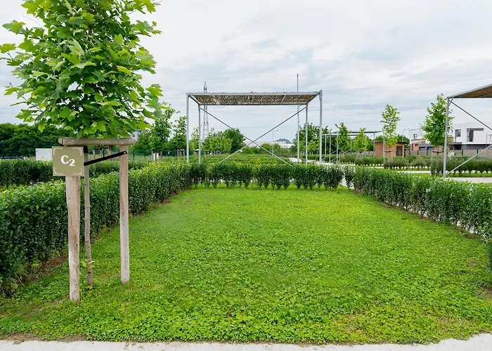 Alliance Kamp alanı 3*