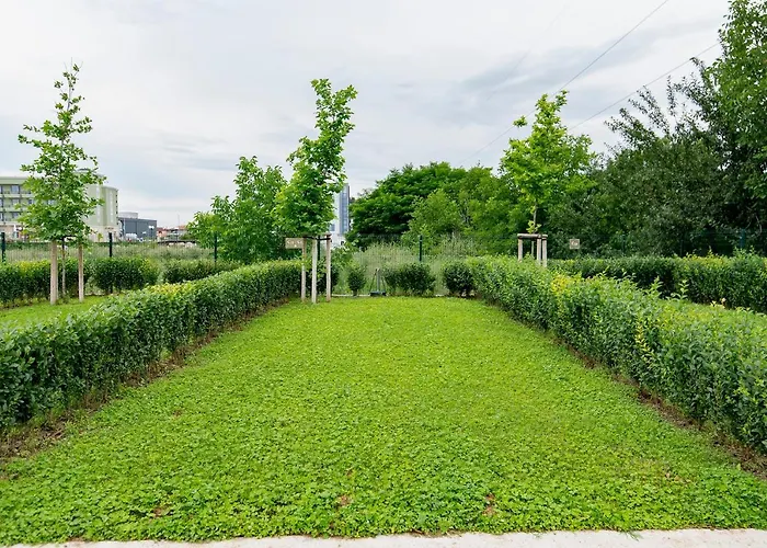 Alliance Kamp alanı 3*